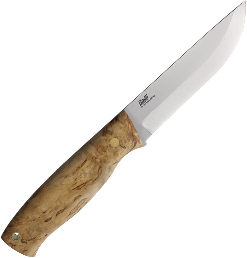 Brisa Trooper 115 Curly Birch