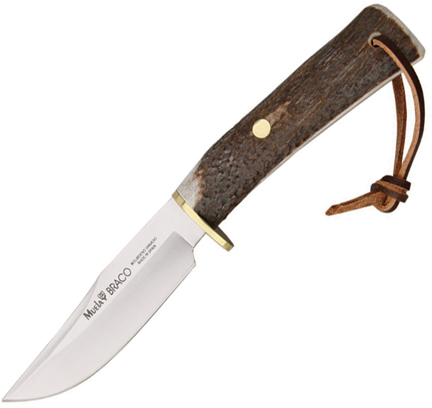 Muela Braco Fixed Blade