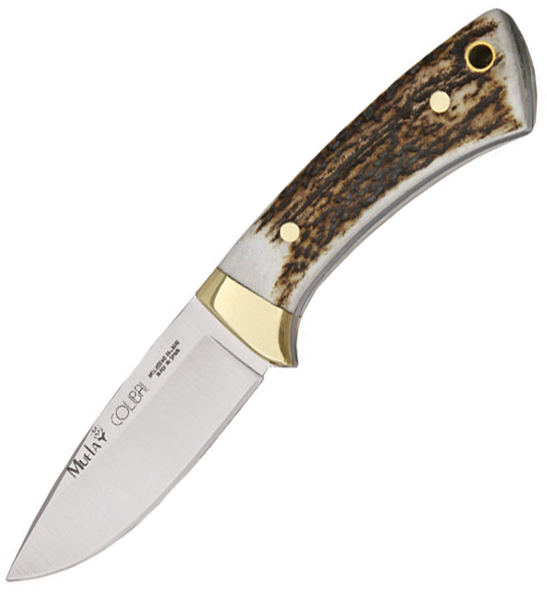 Muela Colibri Fixed Blade