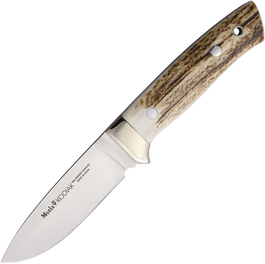 Muela Kodiak Fixed Blade Stag Bone