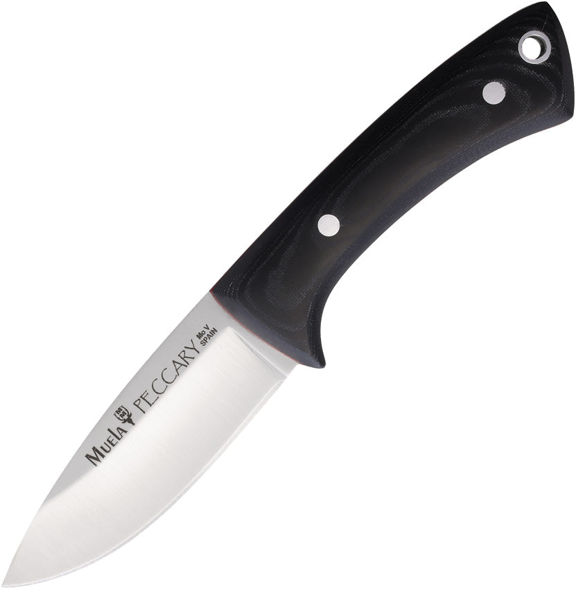 Muela Peccary Fixed Blade