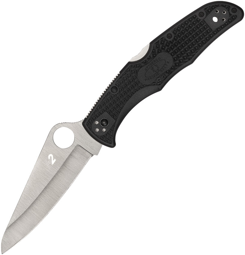 Spyderco Pacific Salt 2 Lockback Black