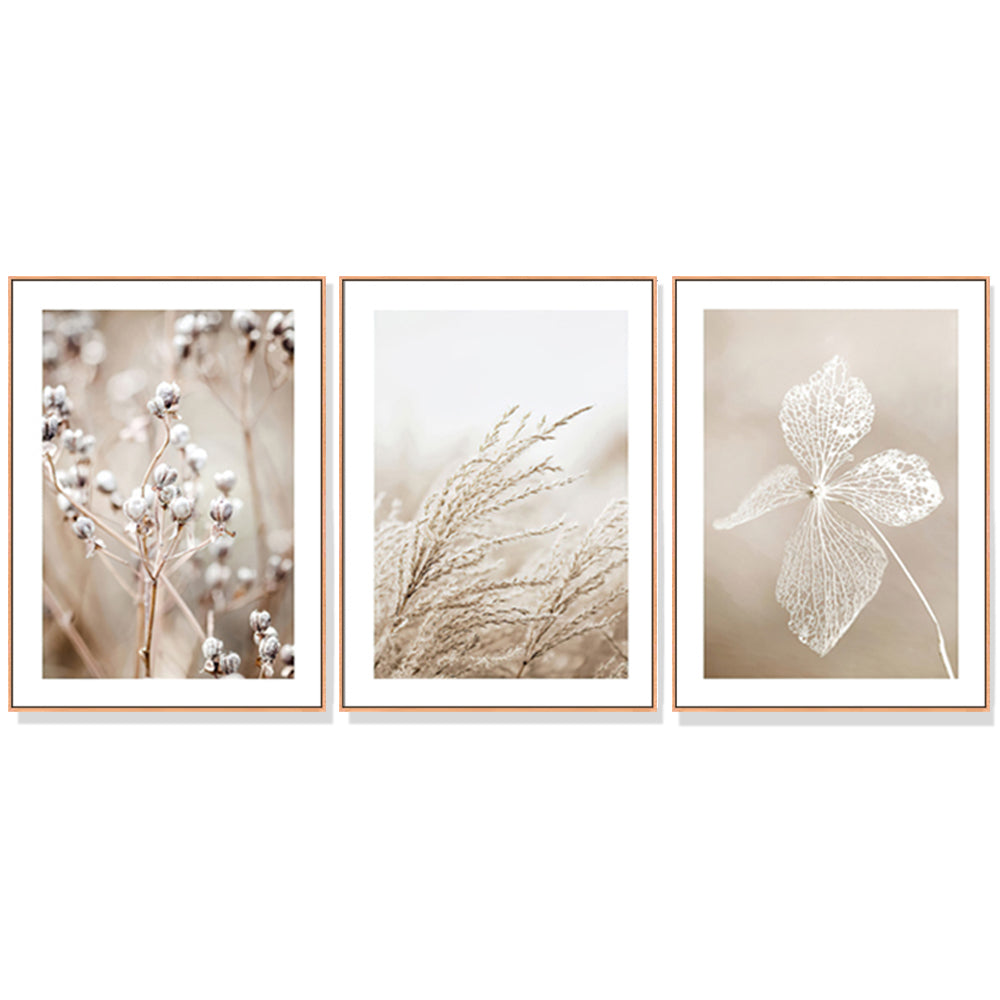 Wall Art 40cmx60cm Dried Flower 3 Sets Wood Frame Canvas