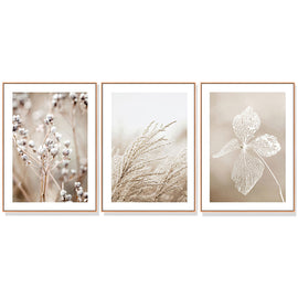 Wall Art 40cmx60cm Dried Flower 3 Sets Wood Frame Canvas