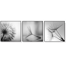 Wall Art 50cmx50cm Botanical dandelions 3 Sets Black Frame Canvas