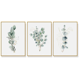 Wall Art 40cmx60cm Eucalyptus Plant 3 Sets Gold Frame Canvas