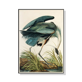 Wall Art 60cmx90cm Great Blue Heron By John James Audubon Black Frame Canvas