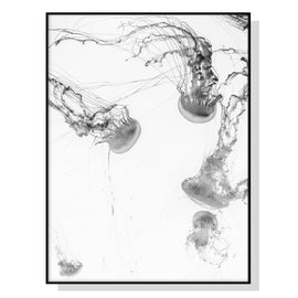 Wall Art 60cmx90cm Jellyfish Black Frame Canvas