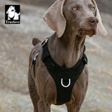 True Love Dog lightweight black harness 2XS | Available at King of Knives