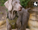 True Love Dog lightweight army green harness 2XS | Available at King of Knives