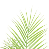 Artificial Modern Bushy Areca Fern Tree 120cm